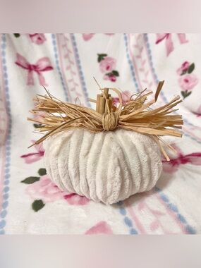 White Fabric Pumpkin small decor Farmhouse Shabby Chic